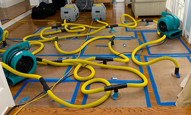 Professional Flood Damage Restoration technician working in Monument, CO